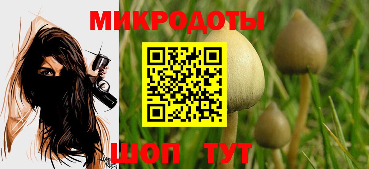 Псилоцибиновые грибы Psilocybine cubensis Киров